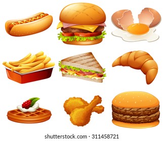 Different kind fastfood illustration