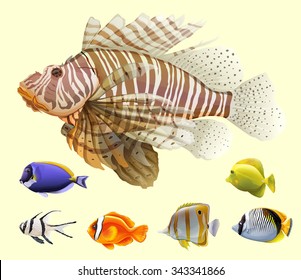 Different kind of fish illustration