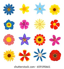 Different kind of flowers, Top view. Colorful blossoms of garden staff set. Vector illustration