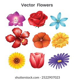 Different kind of flowers Vector design