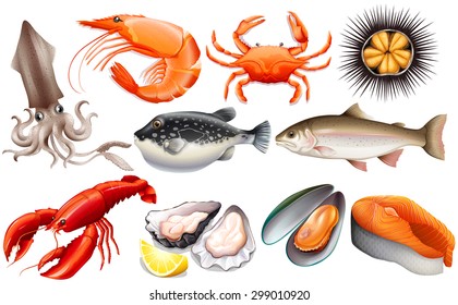 Different kind of fresh seafood