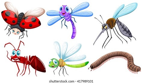 Different kind of insects illustration