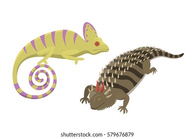 Different kind of lizard reptile isolated vector illustration.