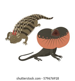 Different kind of lizard reptile isolated vector illustration.