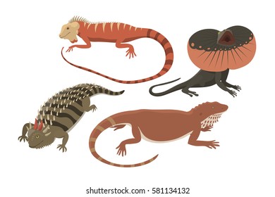 Different kind of lizard reptile isolated vector illustration.