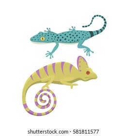 Different kind of lizard reptile isolated vector illustration.