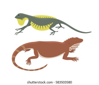 Different kind of lizard reptile isolated vector illustration.