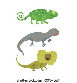 Different kind of lizards icons set.