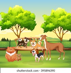 Different kind of pet in the park illustration