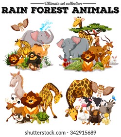 Different kind of rainforest animals illustration