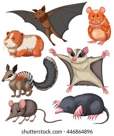 Different kind of small wildlife illustration