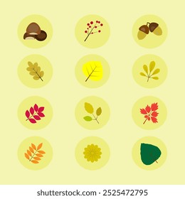 Different kind of tree leaves,oak,chestnut on light background..Autumn season.Vector illustration