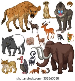 Different kind of wild animals illustration