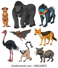 Different kind of wild animals illustration