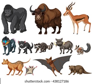 Different kind of wild animals on white illustration