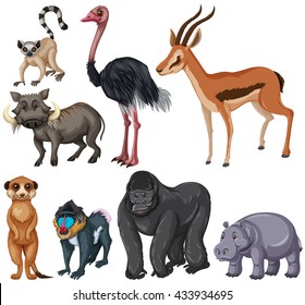 Different kind of wildlife animals illustration