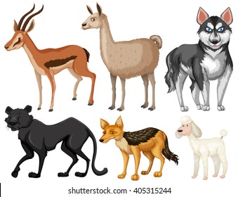 Different kind of wildlife illustration