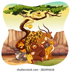 Different kind of wildlife living together in the forest