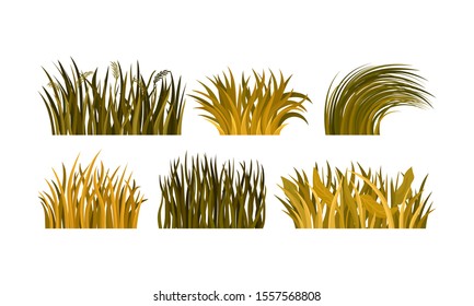 Different Kind Of Yellow And Brown Autumn Grass Tufts Vector Illustration Set