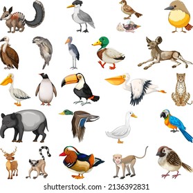 Diferentes tipos de ilustraciones de colección de animales