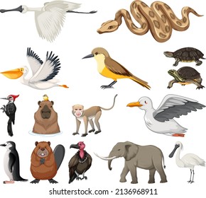 Different kinds of animals collection illustration
