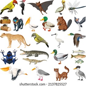 Different kinds of animals collection illustration