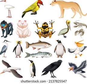 Different kinds of animals collection illustration