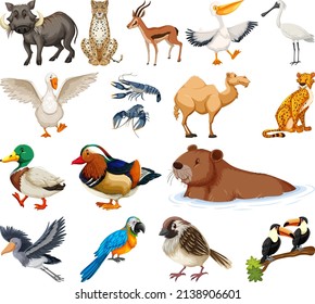 Different kinds of animals collection illustration