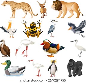 Different Kinds Animals Collection Illustration Stock Vector (Royalty ...