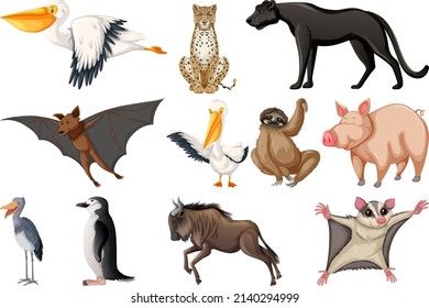 Different kinds of animals collection illustration