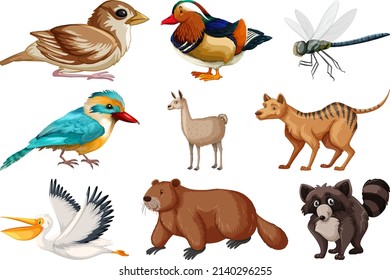 Different kinds of animals collection illustration