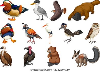 Different kinds of animals collection illustration