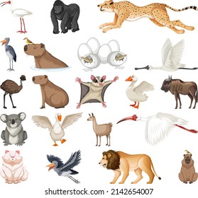 Diferentes tipos de ilustraciones de colección de animales