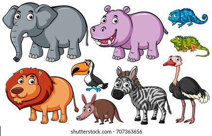 Different kinds of animals on white background illustration