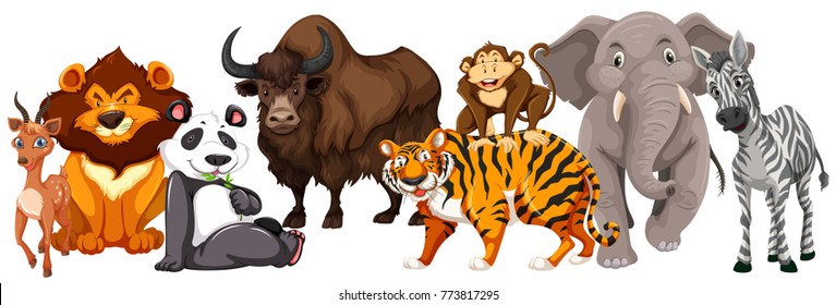 Different kinds of animals on white background illustration