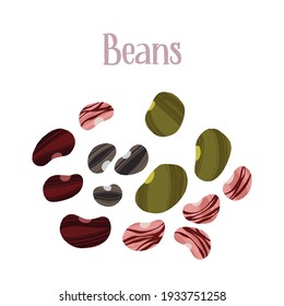 Diferentes tipos de frijoles. Bocadillos para una nutrición saludable. Ilustración aislada de corte manual con textura de pincel seco y grabado a mano para su diseño.