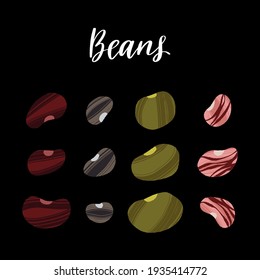 Different kinds of beans. Carbs for healthy nutrition. Vector hand drawn flat isolated illustration with dry brush texture and hand written lettering for your design.