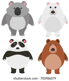 Different kinds of bears on white background illustration