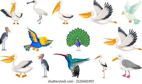 Different kinds of birds collection illustration