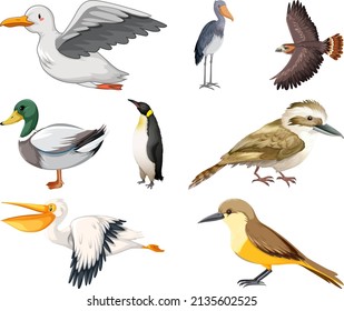 Different kinds of birds collection illustration