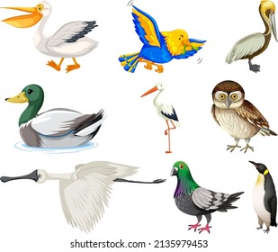 Different kinds of birds collection illustration