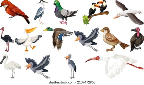 Different kinds of birds collection illustration