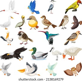 Different kinds of birds collection illustration