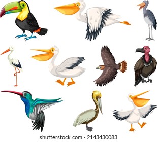 Different kinds of birds collection illustration