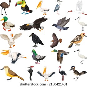 Different kinds of birds collection illustration