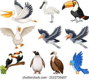 Different kinds of birds collection illustration