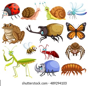 Different kinds of bugs illustration