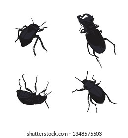 Different kinds of bugs monochrome in set collection for design. Insect arthropod vector illustration.