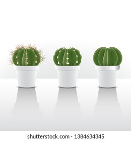 Different kinds of cactuses with thorns and no thorn in pot with light and shadow on white background. Cactus are succulents can live in extremely dry and hot environments. Vector illustration.