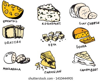 Different Kinds of Cheese Wedges Vector Image